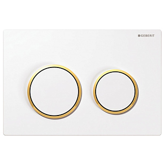 Geberit Omega20 Клавиша двойного смыва, цвет: белый/золото