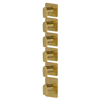 Newform Haka Смеситель для душа, термостатический, на 5 потоков, цвет: PVD brushed gold