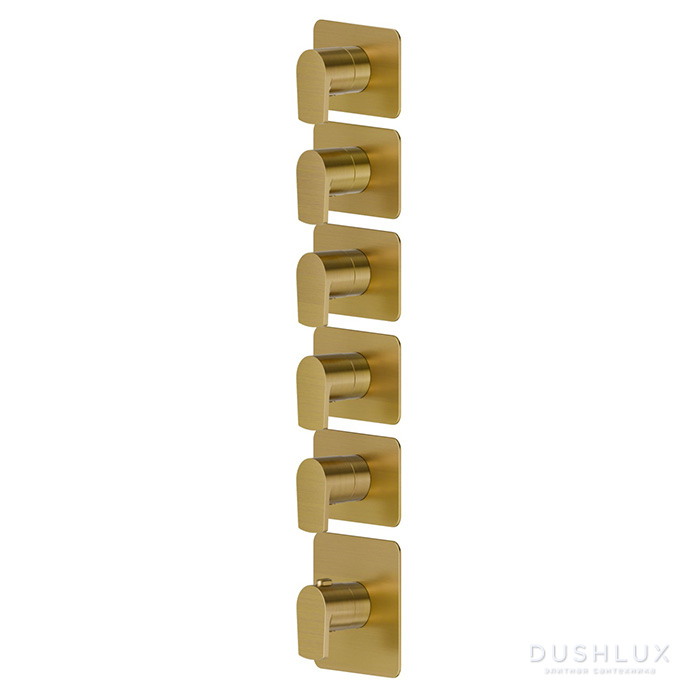 Фото Newform Haka Смеситель для душа, термостатический, на 5 потоков, цвет: PVD brushed gold