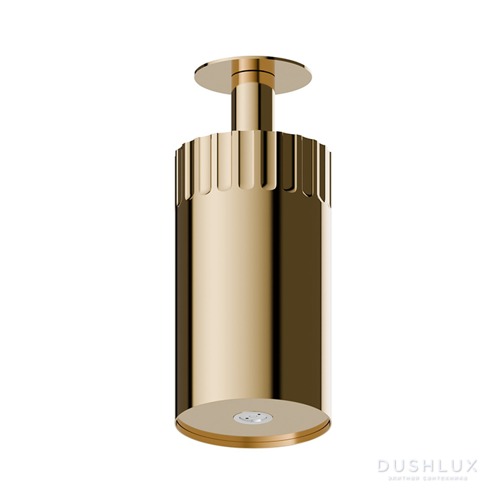 Фото Newform Ionika wellness Потолочный душ 10см, режим распылитель, цвет: PVD glossy gold