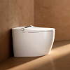 Arrow Pollux Унитаз Smart 40x68см, с функцией биде, напольный, безободковый, цвет: белый