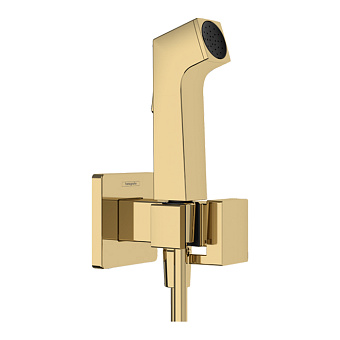 Hansgrohe Bidette E Гигиенический душ со смесителем, держателем и шлангом 125см., цвет: золото