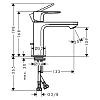 Hansgrohe Rebris S Смеситель для раковины 110, на 1 отв., цвет: хром