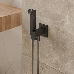 сантехника Hansgrohe Bidette 