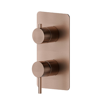 Newform X-Steel 316 Смеситель для душа, встраиваемый, на 2 потока, цвет: PVD brushed copper bronze