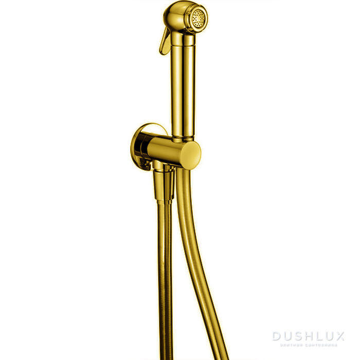 Фото CISAL Shower Гигиенический душ со шлангом 120 см,вывод с держателем, цвет: золото