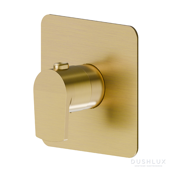Фото Newform Haka Смеситель для душа, встраиваемый, термостатический, цвет: PVD brushed gold