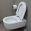 Flaminia Link Унитаз подвесной 56x36xh20см, цвет: белый глянцевый