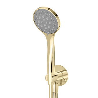 Newform Set doccia Ручной душ 10см., настенный, цвет: PVD Br. Pale Gold