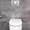 Geberit Delta10 Клавиша смыва для унитаза, смыв/стоп, цвет: нержавеющая сталь