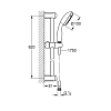 Grohe Tempesta 100 Душевой гарнитур, настенный, цвет: хром