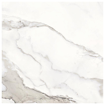 Provenza Unique Marble Керамогранит 120x120x0.65см, глазурованный, универсальная, цвет: Calacatta Regale Lappato