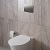 Ideal Standard Prosys Oleas Механическая панель смыва, двойной смыв, цвет: PVD Magnetic Grey