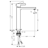 Hansgrohe Metris S Смеситель для раковины, на 1 отв., излив 189мм, h251мм, цвет: хром
