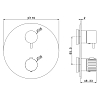 Newform Steel Line Смеситель для душа, встраиваемый, термостатический, цвет: pvd brushed pale gold