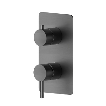 Newform X-Steel 316 Смеситель для душа, встраиваемый, на 2 потока, цвет: PVD brushed gun metal