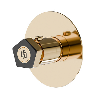 Newform ParkLE Смеситель для душа, встраиваемый, термостатический, цвет: PVD glossy gold/черный матовый