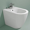 Flaminia Link Биде напольное 56x36xh42см, без отв. под смеситель, цвет: белый глянцевый