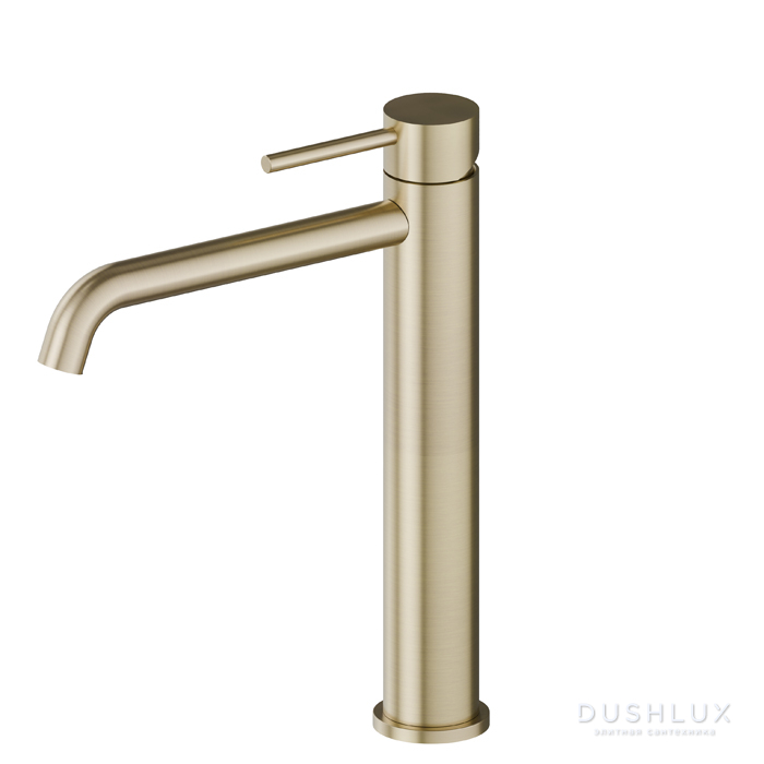 Фото Newform X-Steel 316 Смеситель для раковины, 1 отв., цвет: PVD brushed pale gold