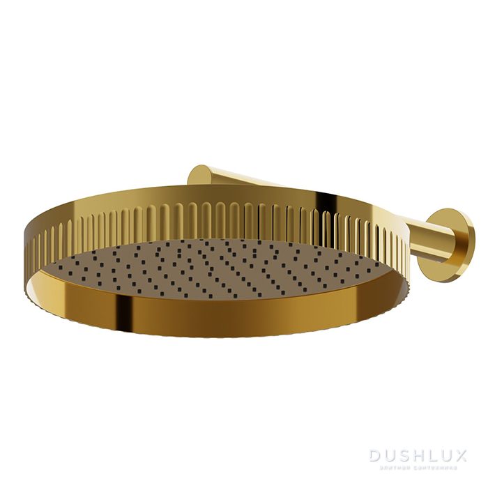 Фото Newform Ionika wellness Верхний душ 40см, кронштейн из стены 35см, цвет: PVD glossy gold
