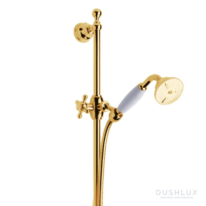 Delphi Душевой гарнитур, цвет золото, 109.13.300.020, купить в